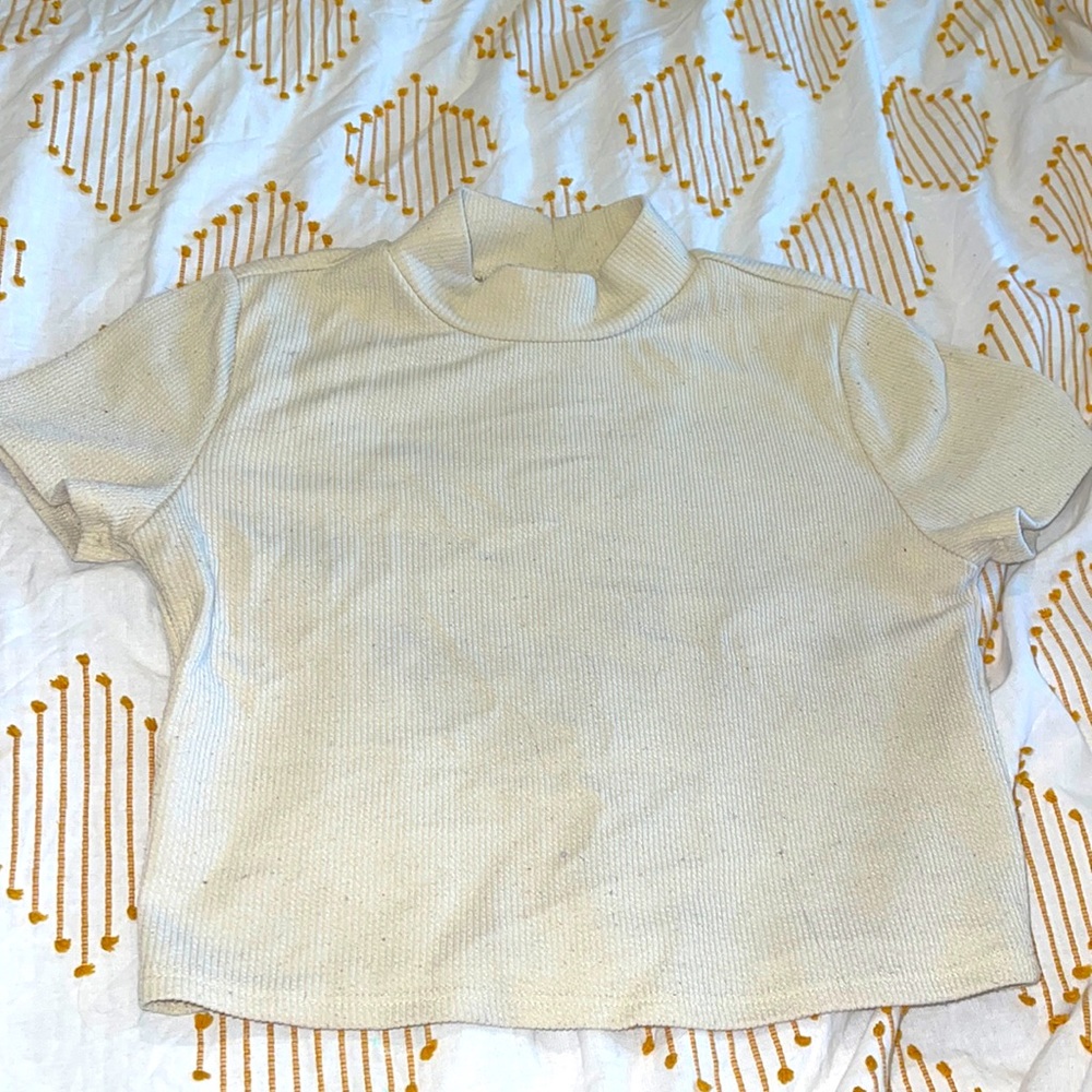 Turtle neck crop top